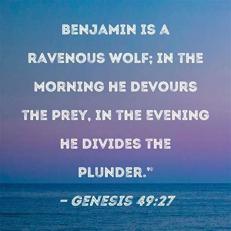 Genesis 4927 Benjamin Is A Ravenous Wolf In The Morning He Devours