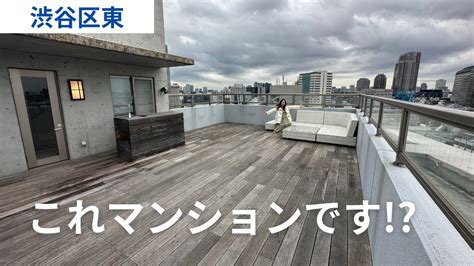 【マンションにルーフバルコニー】東京タワーもくっきり見える、戸建て並みの広さと高級レジデンスの設備とセキュリティを兼ね備えた最強物件、屋上