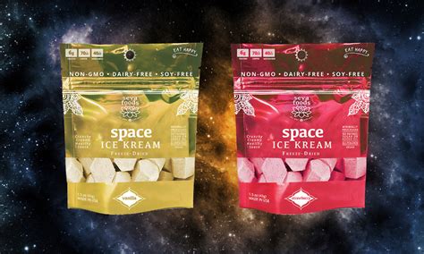 World S First Plant Based Freeze Dried Ice Cream Lets Astronauts Eat Vegan Ice Cream In Space