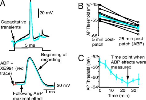 Functional Significance Of Axonal Kv7 Channels In Hippocampal Pyramidal