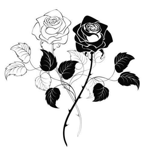 12500 Rose Stem Stock Illustrations Royalty Free Vector Graphics