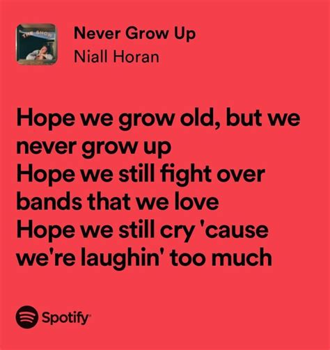 Never Grow Up Niall Horan Pretty Lyrics Meaningful Lyrics Just Lyrics