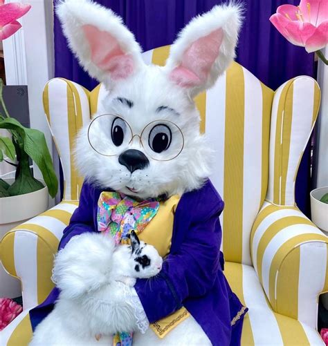 Great Northern Mall Announces Easter Bunnys Return The Villager