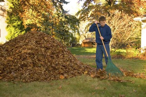 Use A Broom To Clean Your House