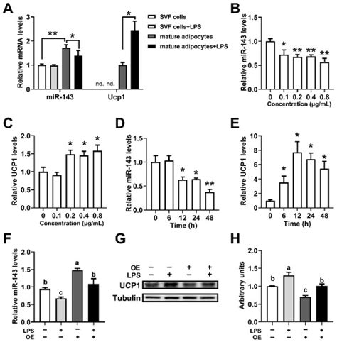 Ijms Free Full Text Lps Induced Inhibition Of Mir Expression In