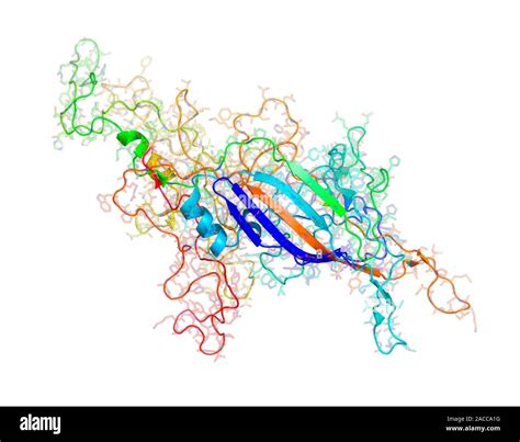 Human Parvovirus B Capsid Molecular Model This Is The Capsid Outer