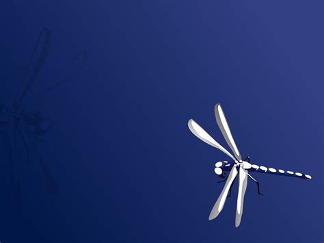 Dragonfly Backgrounds Wallpaper Cave