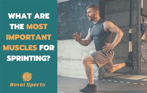 Most Important Muscles For Sprinting 1 For Adding Speed