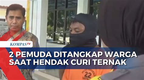 Kepergok Mencuri Ternak Pemuda Ditangkap Warga Youtube