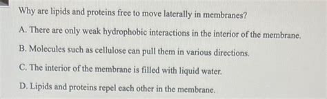 Why Are Lipids And Proteins Free To Move Laterally In