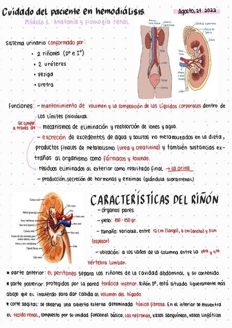 Cuidado Del Paciente En Hemodi Lisis Yen Udocz