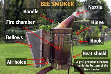 What Is A Bee Smoker? (A Must-Have Beekeeping Tool)