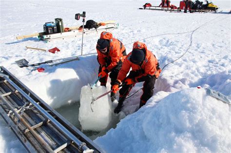 Fotos Antarktis Forschung Mit Robben Und Robotern DER SPIEGEL