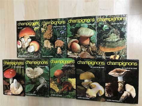 Pilze Champignons Kaufen Auf Ricardo