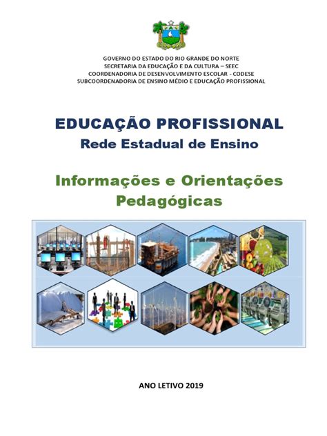 Orientações Pedagógicas Escolas Profissionalizantes Pdf