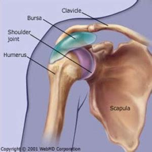 Bursitis Shoulder Treatment | Orthopedic Surgeon in IL | Dr. Roger Chams