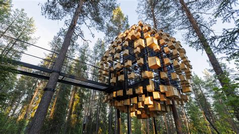 Dezeen Debate Newsletter Features A Treehouse Hotel Room By Big