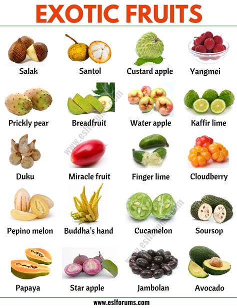 Exotic Fruits: List of 75+ Exotic Fruits From All Around the World ...