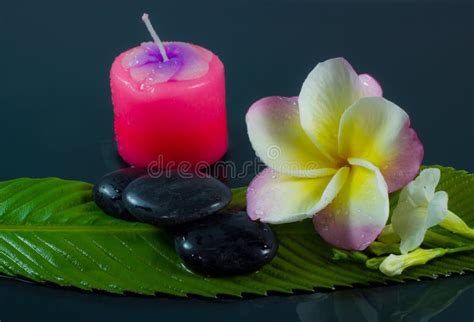 Pedras Dos Termas E Flor Do Frangipani Imagem De Stock Imagem De