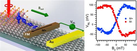 Multifunctional Vdw Hybrid Devices For Spin Based Information