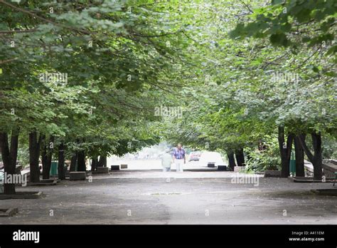 People Walking Along Tree Lined Avenue Stock Photo Alamy