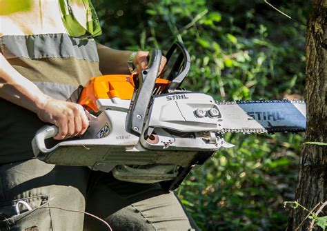 Stihl MS261 Review 2024 The Best All Round Stihl Chainsaw