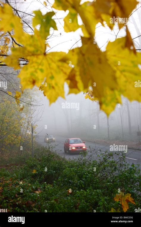 Autumn Thick Fog Low Visibility On A Road Essen Germany Stock Photo