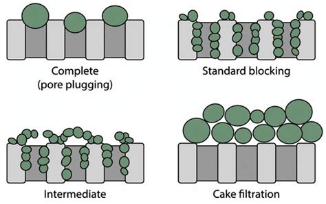 Membranes Free Full Text Recent Mitigation Strategies On Membrane