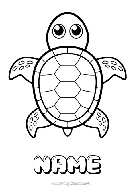 Coloring Page No1636 Cute Turtle Animal