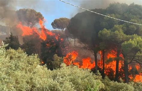 La Sicilia Continua A Bruciare Canadair In Azione Nelle Province Di