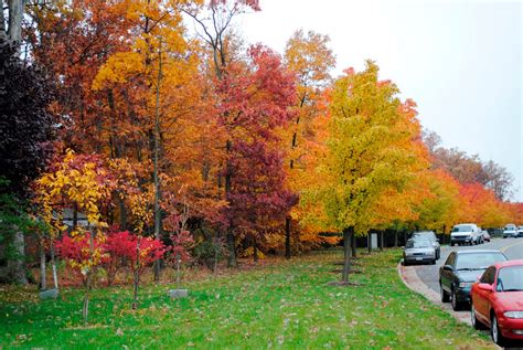 Blue Ridge Mountain Home: Fall Foliage