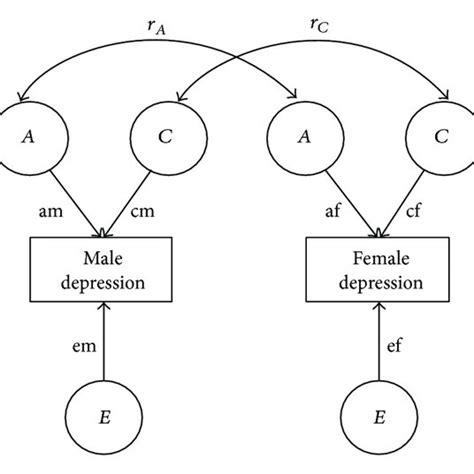 Sex Limitation Model For Adolescent Depressive Symptoms The Magnitude Download Scientific