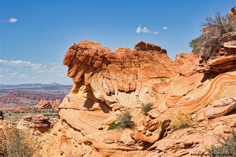 Vermillion Cliffs National Monument South Coyote Buttes Journey