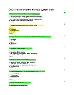 Chapter Fundamentals Of The Nervous System And Nervous Tissue