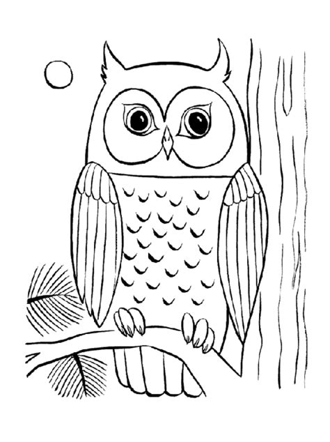 Simple Owl Coloring Pages