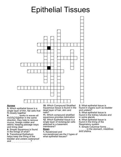 Epithelial Tissues Crossword WordMint