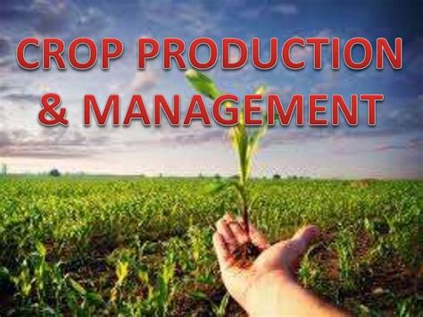 Crop Production And Management Class 8 Science