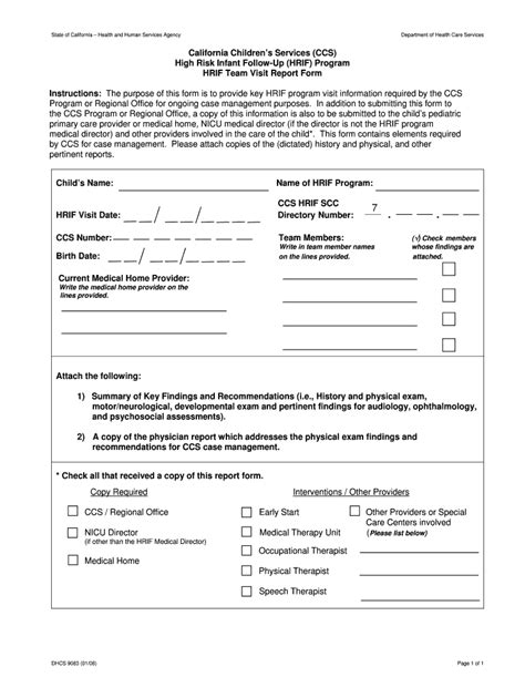 Fillable Online Dhcs Ca Hrif Team Visit Report Form Department Of