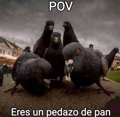 Pov Meme Subido Por SamOrugas6 Memedroid