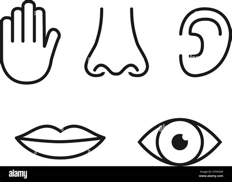 5 Senses Clipart Black And White