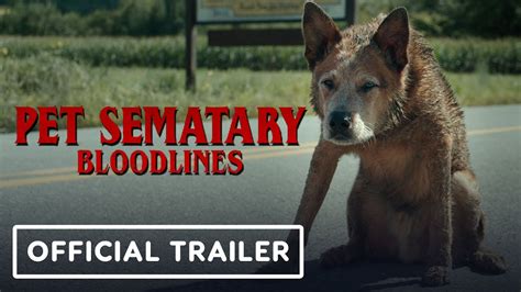 Pet Sematary Bloodlines Official Trailer The Global Herald