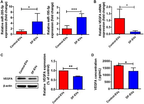 MiR 195 5p And MiR 205 5p In Extracellular Vesicles Isolated From