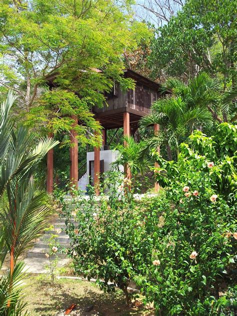 Galeri Resort Tree House Di Malaysia Yang Amat Menakjubkan