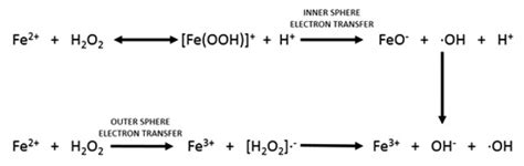 Fenton Reaction Driven By Iron Ligands