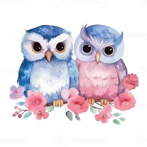 Cute Owl Couple Drawing