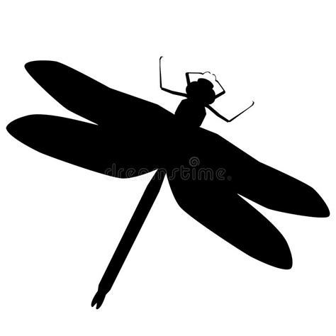 Libellula Nera Su Fondo Bianco Isolato Illustrazione Disegnata A Mano