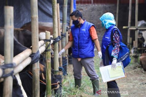 Kota Tangerang Penjual Hewan Kurban Wajib Terapkan Protokol Kesehatan