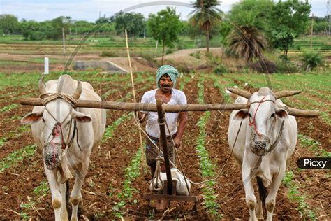 Image Of Farming A Land Farmer Ploughing Agricultural Farm With