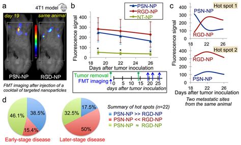 Spatiotemporal Targeting Of P Selectin And V Integrin In Vivo In