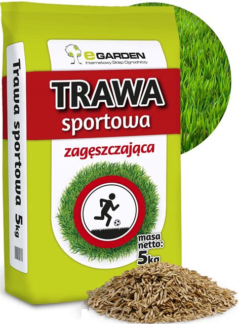 TRAWA SPORTOWA BOISKOWA TRAWNIK BOISKO SPORT 5kg 9058374099 Allegro Pl